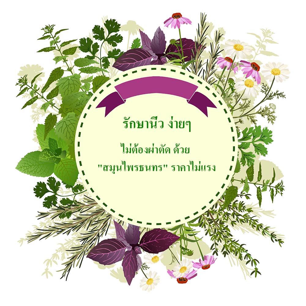 รักษานิ่ว ง่ายๆ ไม่ต้องผ่าตัด ด้วย "สมุนไพรธนทร" ราคาไม่แรง